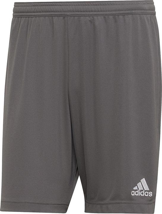 Actual product image adidas Entrada 22 Shorts Men (XS)