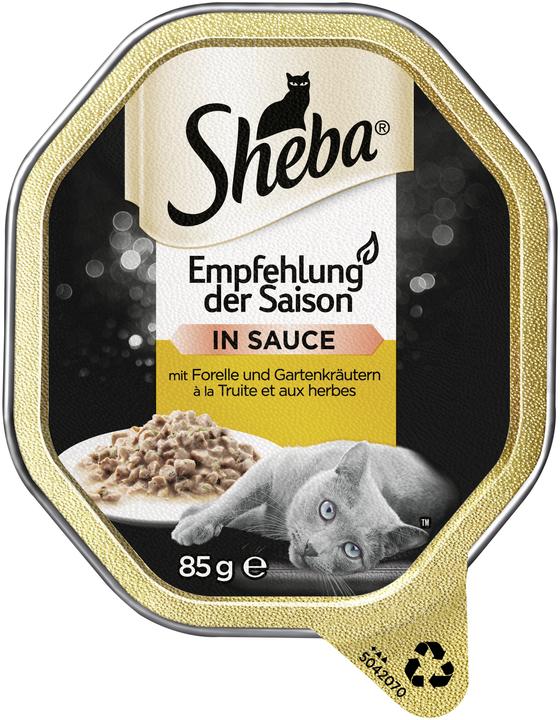 Actual product image Sheba Recommendation of the season (85 g)