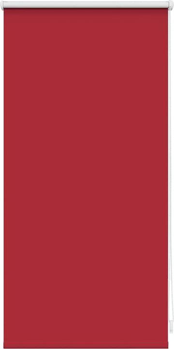 Produktbild VidaXL Rollo (40 x 100 cm)