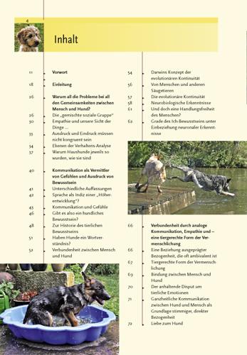 Image du produit Kosmos Ausdrucksverhalten beim Hund (Allemand, Dorit Feddersen-Petersen, 2008)