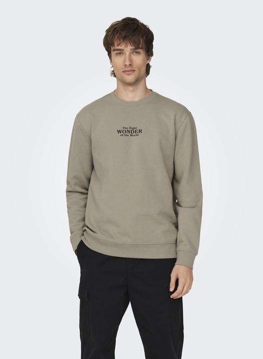 Immagine prodotto Only & Sons ONSCELEBRITY REG CREW NECK SWT - 562138 (L)