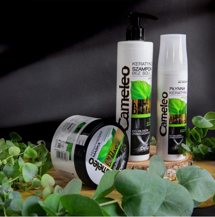 Produktbild Delia Cosmetics Cameleo BB (250 ml, Flüssiges Shampoo)