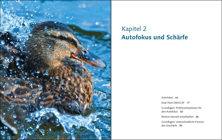 Image du produit Canon EOS 70D (Allemand, Christian Westphalen, Holger Haarmeyer, 2014)