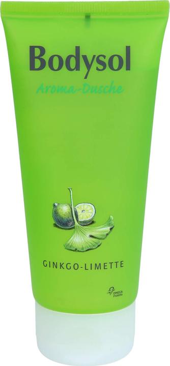 Produktbild Omega Pharma Bodysol Aroma-Duschgel Ginkgo-Limette, 100 ml XDG (100 ml)