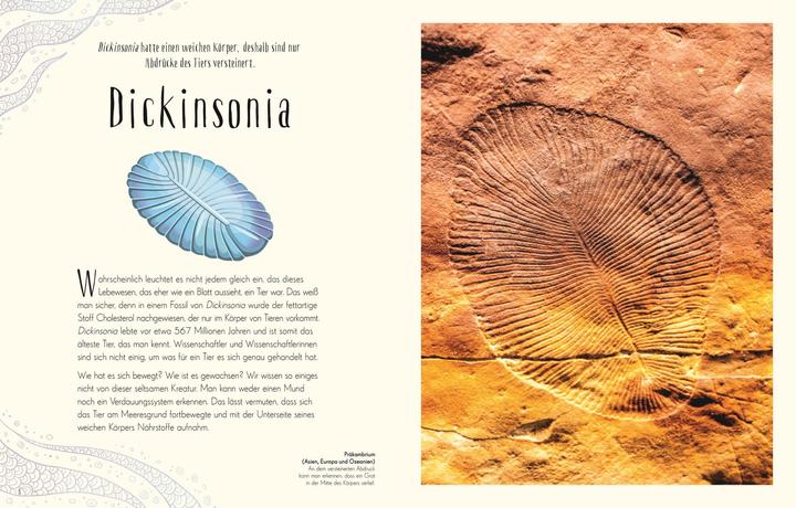 Actual product image Wundervolle Welt der Dinosaurier und der Urzeit (German, Anusuya Chinsamy-Turan, 2022)