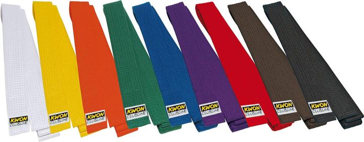 Actual product image Kwon Soft Belt (170)