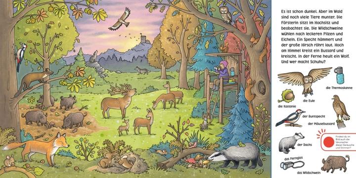 Produktbild Hör mal (Soundbuch): Wimmelbuch: Wald und Wiese (Stéffie Becker, Julia Hofmann, Deutsch)