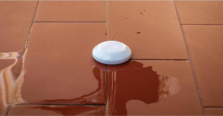 Actual product image Shelly Flood WiFi flood & temperature sensor