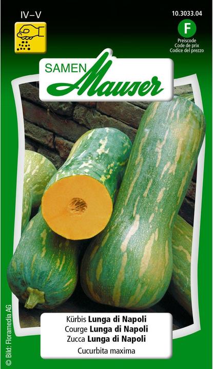 Courge Lunga di Napoli (Graines de légumes)