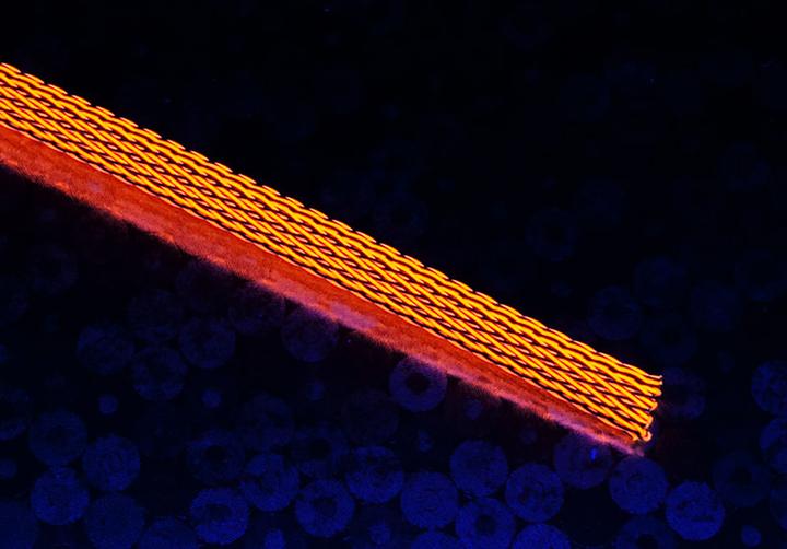 Image du produit Techflex Manchon Flexo PET 6mm (Gaines pour câbles, 100 cm)