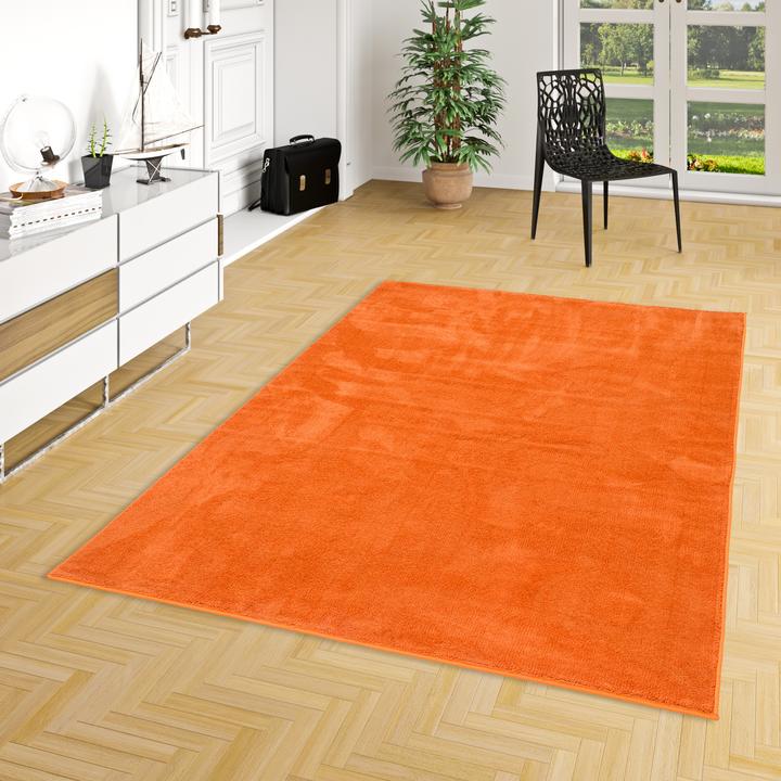 Actual product image Pergamon Luxus Super Soft Hochflor Langflor Teppich Melia (120 x 170 cm)