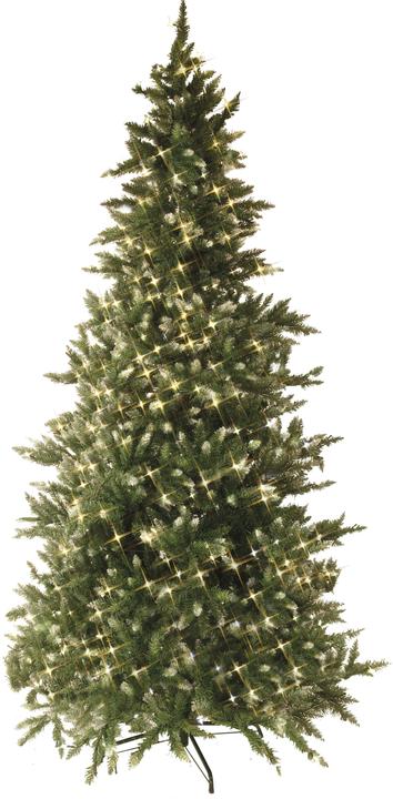 Actual product image Star Trading Vancouver (225 cm)