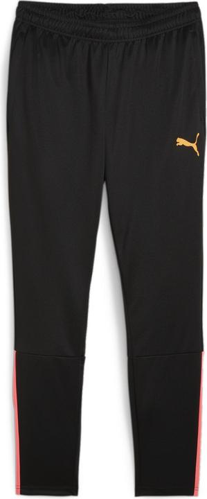Puma teamLIGA Training Pants
