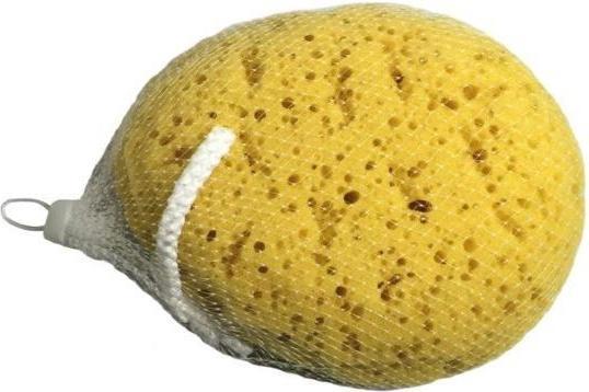 Actual product image Universal Textiles Sponge Body Soft