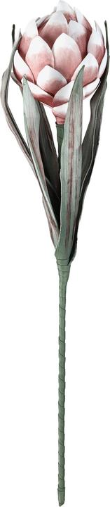 Actual product image EGLO LIVING Molave (15 cm)