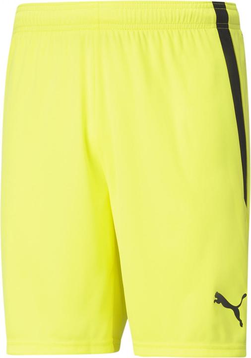 Actual product image Puma teamLIGA Shorts-704924 (L)