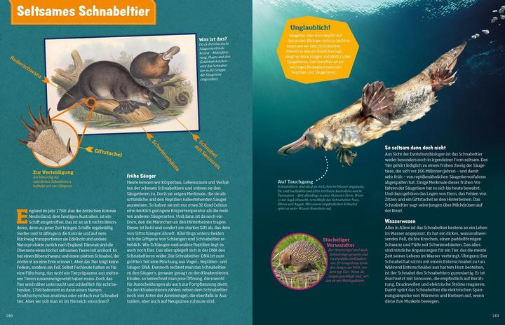 Immagine prodotto Tessloff WAS IST WAS Abenteuer Evolution. Das Wunder des Lebens (Tedesco, Baur Manfred, 2020)