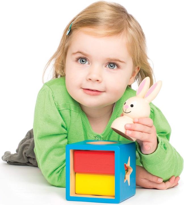 Actual product image Smart Games bunny boo (German, French, Italian, English)