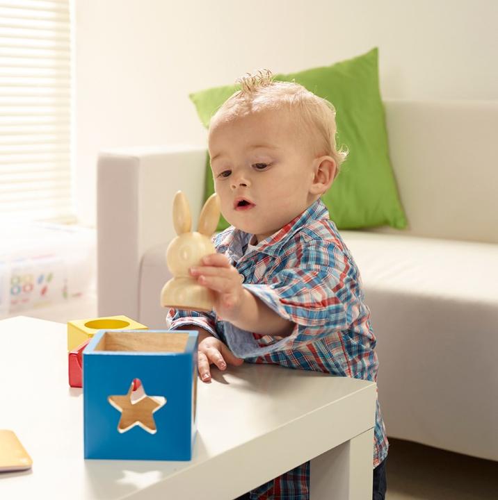 Actual product image Smart Games bunny boo (German, French, Italian, English)