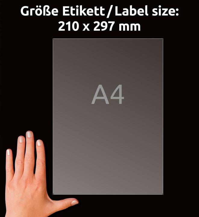 Actual product image Avery Universal labels J8567-25 Transparent 210 mm x 297 mm