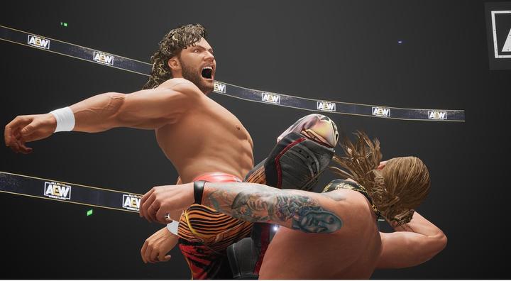 Image du produit THQ AEW : Fight Forever (Switch, DE)
