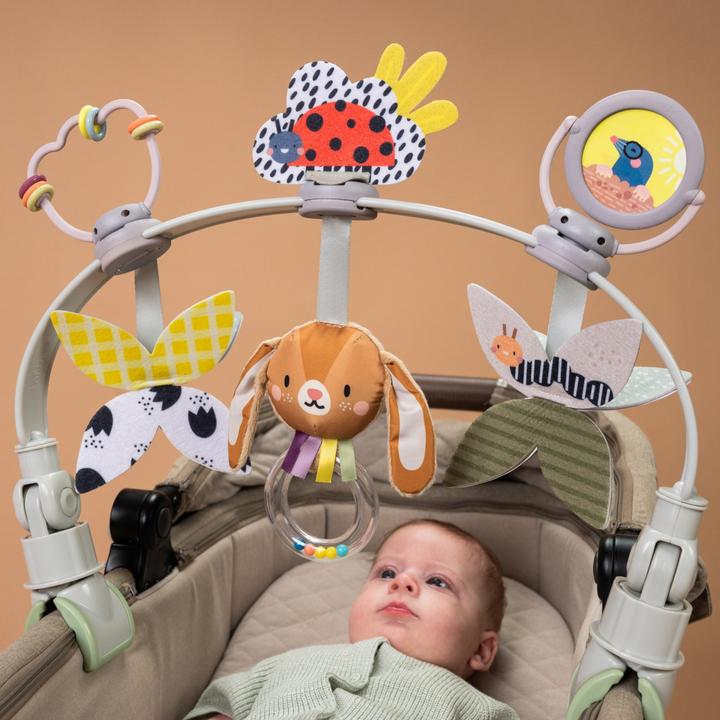 Immagine prodotto Taf Toys Cresci con me