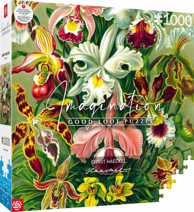 Good Loot Puzzle 1000 Imagination Ernst Haeckel Orchidea / Orchidea (1000 pezzi)