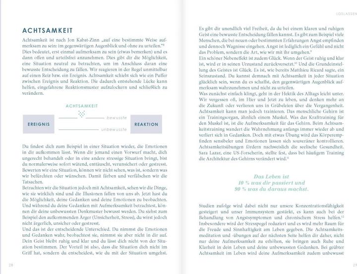 Produktbild The New You mint) - Das Buch, das dein Leben verändert (Deutsch, Iris Reiche, 2024)