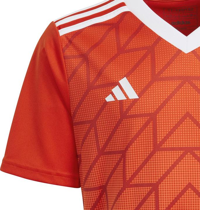 Actual product image adidas Team Icon 23 Jersey (152)