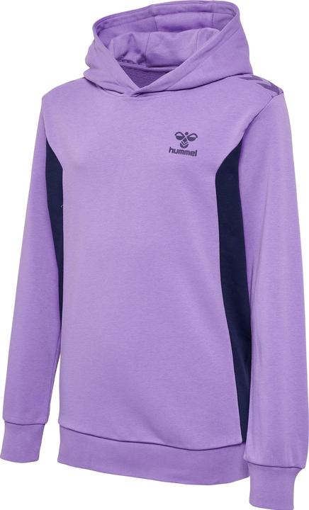 Produktbild hummel Hmlstaltic Cotton Hoodie Kids (164)