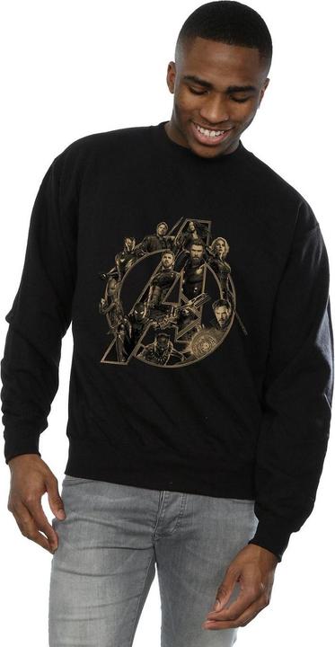 Image du produit Universal Textiles - Sweat - Homme (M)