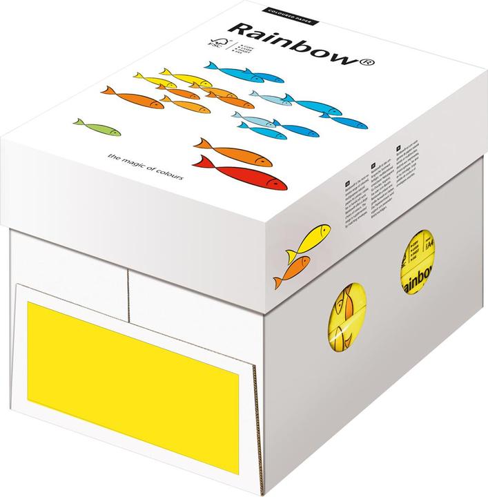 Actual product image Rainbow Copy paper (80 g/m², 500 x, A4)