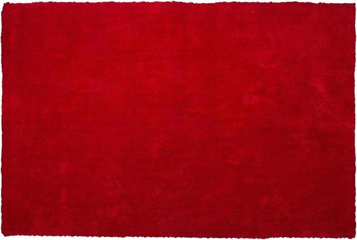 Image du produit Beliani Demre (300 x 200 cm)