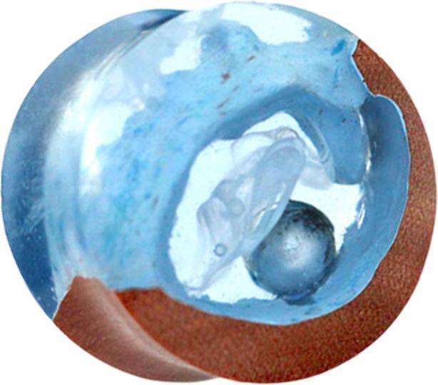 Produktbild Star Piercing Flared Plug Perle in Höhle Epoxy blau aus Saba Holz (ohne Messing, Organisch)