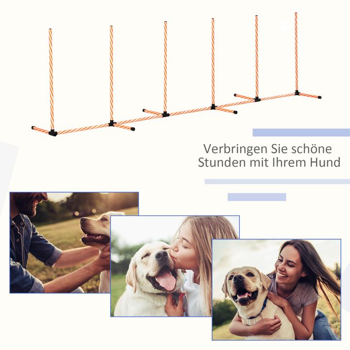 Produktbild PawHut Hunde Agility Set mit Slalomstangen