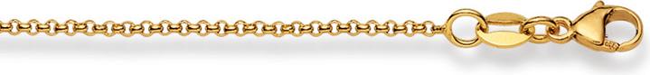 Image du produit Natsumi Schmuck Collier en or jaune 18K/750 Erbs 1.5mm 45 cm (750/18 K Or jaune, 45 cm)