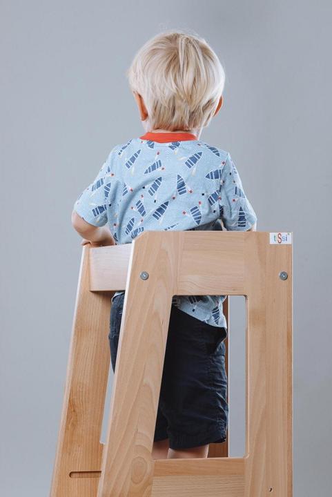 Actual product image Tissi Learning tower Felix