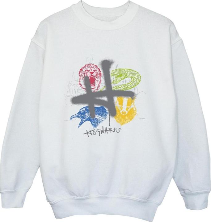 Actual product image Boys Emblems H Spray Sweatshirt (104)
