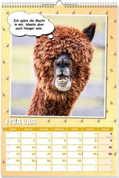 Image du produit Calendrier des affiches Coole Lamas 2025 (Allemand)
