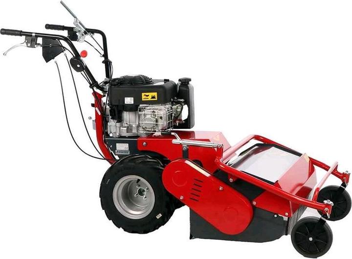 Immagine prodotto Benassi TR 600 Hydro Rasaerba professionale a martelli B e S 3105E (Benzina)