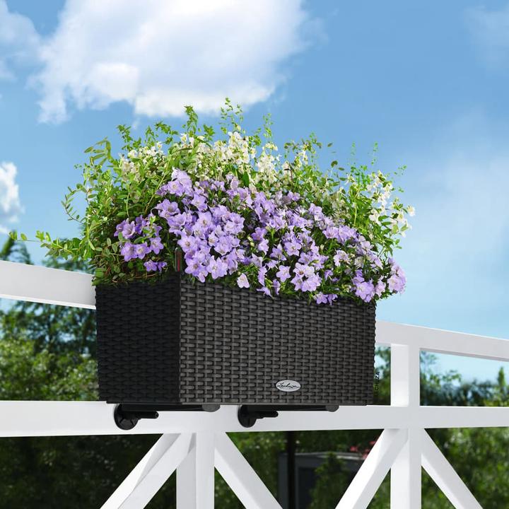 Actual product image Lechuza Balconera Cottage (19 cm)