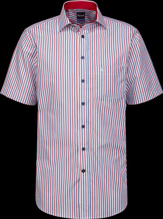 Kauf Pisa New Kent Kurzarm regular fit mit Kontrast