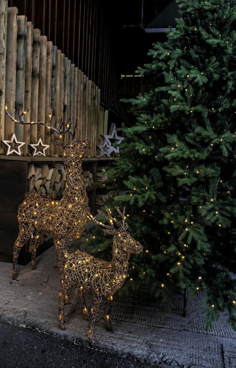 Actual product image STT Deer