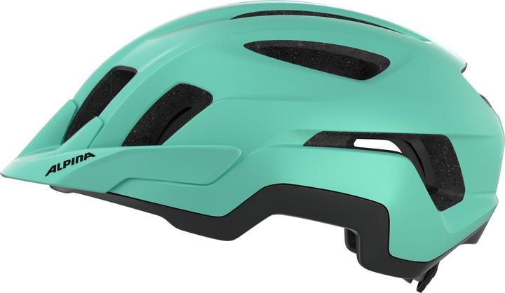 Image du produit ALPINA SPORTS Paranus (52 - 56 cm)