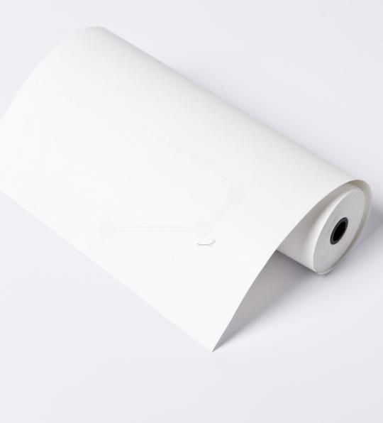 Actual product image Brother PAR411 Thermal Transfer Roll A4 100 pages Black PJ-520