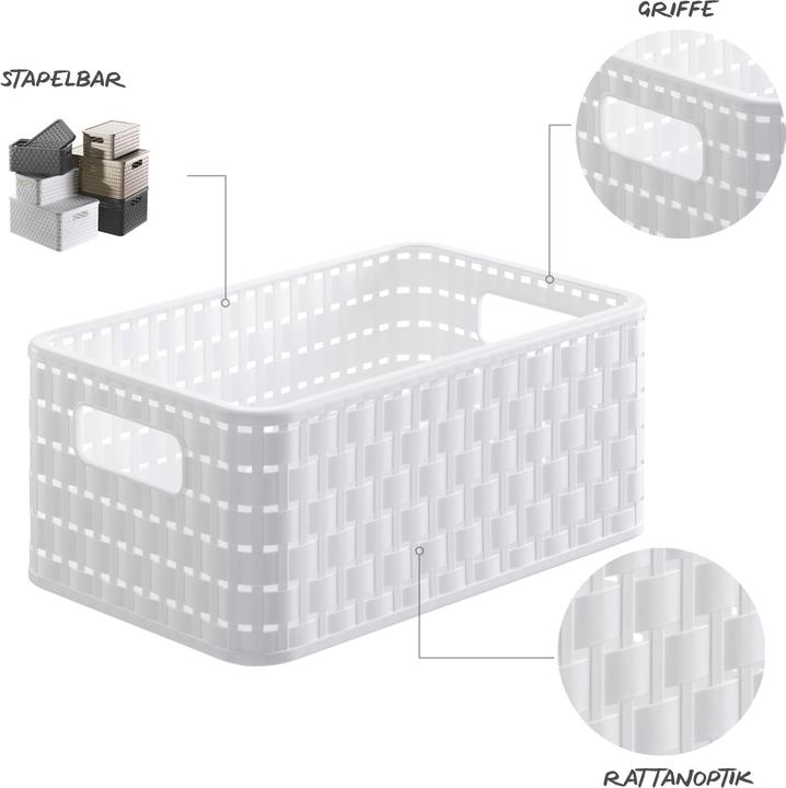 Immagine prodotto Rotho Paese (3 x, 28 x 18,5 x 12,6 cm)