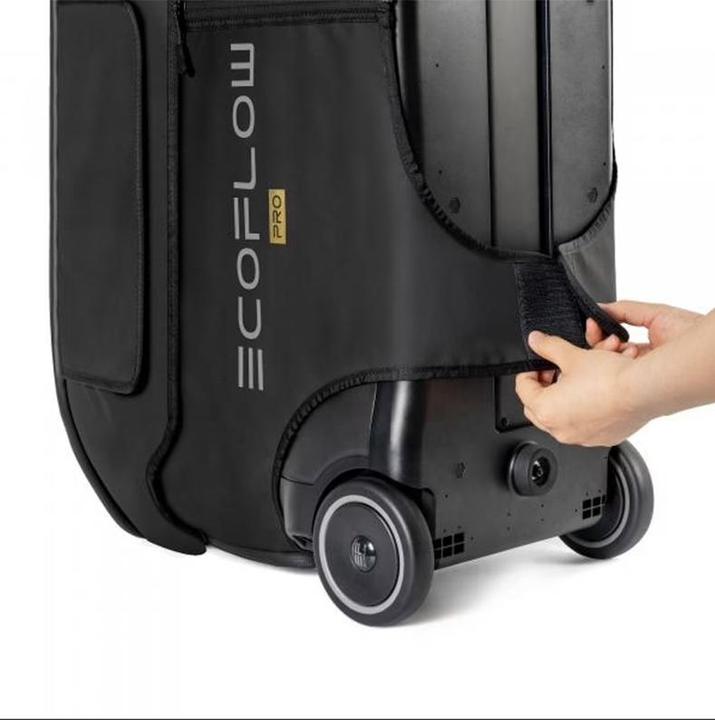 Actual product image EcoFlow Delta Pro Bag