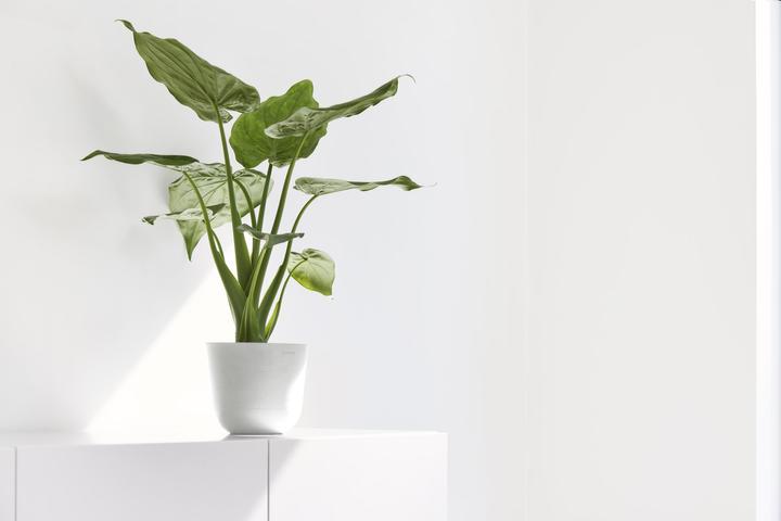 Produktbild Ecopots Oslo Mini (16 cm)