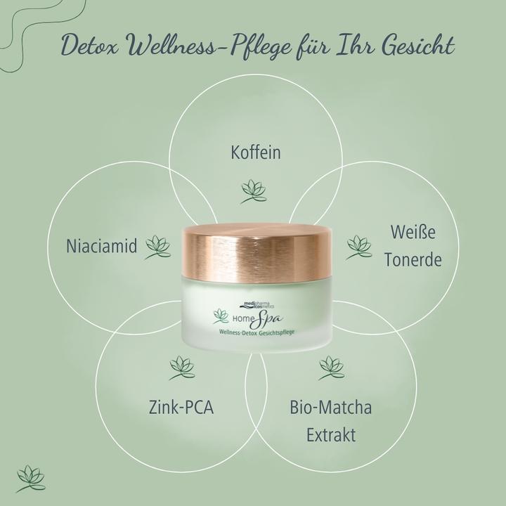 Immagine prodotto Dr. Theiss Home Spa Wellne Detox Gesi, 50 ml CRE (50 ml)