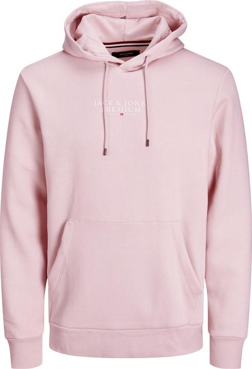 Jack & Jones Jprbluarchie Sweat Hood Noos
